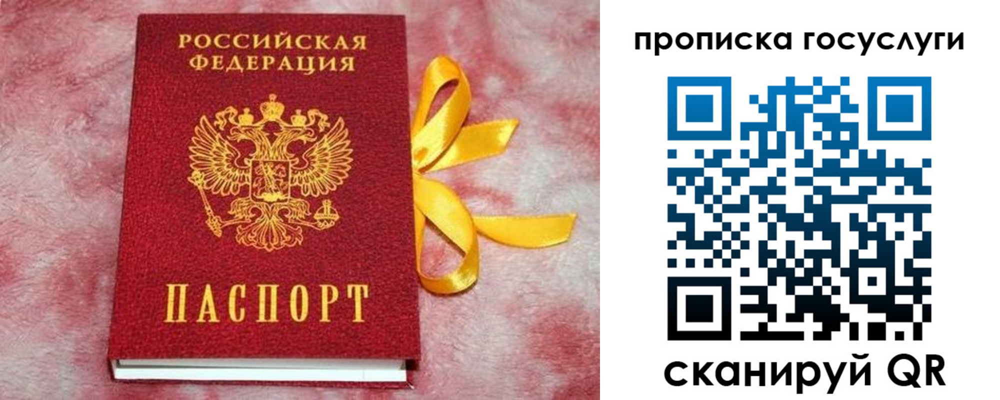 прописка законно в Бийске